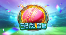 크리켓 열병