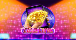 디스코 나이트 M