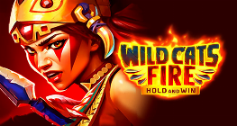 Wild Cats Fire: Hold and Win
