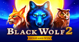 Black Wolf 2