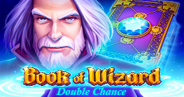 Book Of Wizard