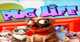 Pug Life