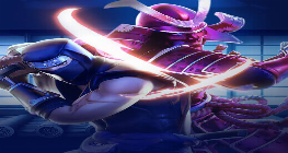 닌자 대 사무라이