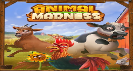 Animal Madness