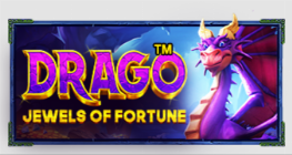 드래고– 보석포천™