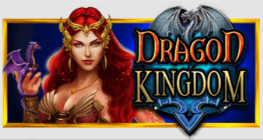 드래곤 킹덤™