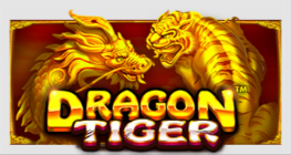 드래곤 타이거™