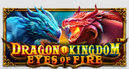 드래곤킹덤-불의눈™