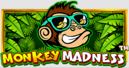 몽키 매드니스™
