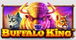 버팔로 킹™