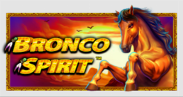 브론코 스피릿™