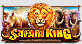 사파리 킹™