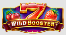 와일드 부스터™