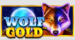 울프 골드™