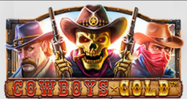 카우보이 골드 ™