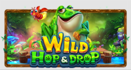 Wild Hop&Drop
