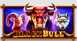 Black Bull