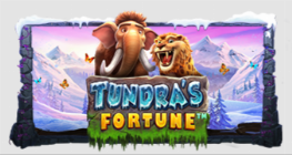 Tundra’s Fortune™
