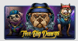The Big Dawgs