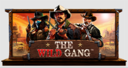 The Wild Gang™