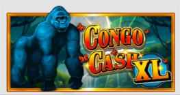 Congo Cash XL