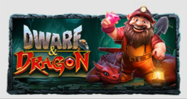 Dwarf & Dragon