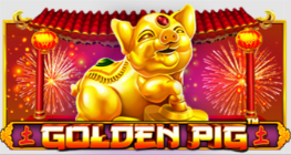 Golden Pig