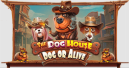 The Dog House - Dog or Alive