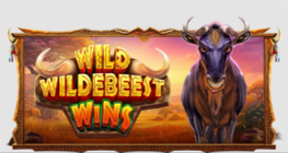 Wild Wildebeest Wins