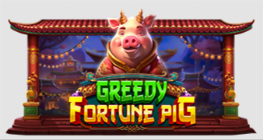 Greedy Fortune Pig