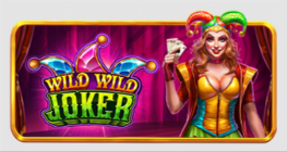 Wild Wild Joker
