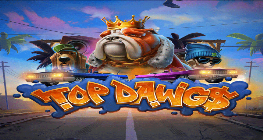Top Dawg$